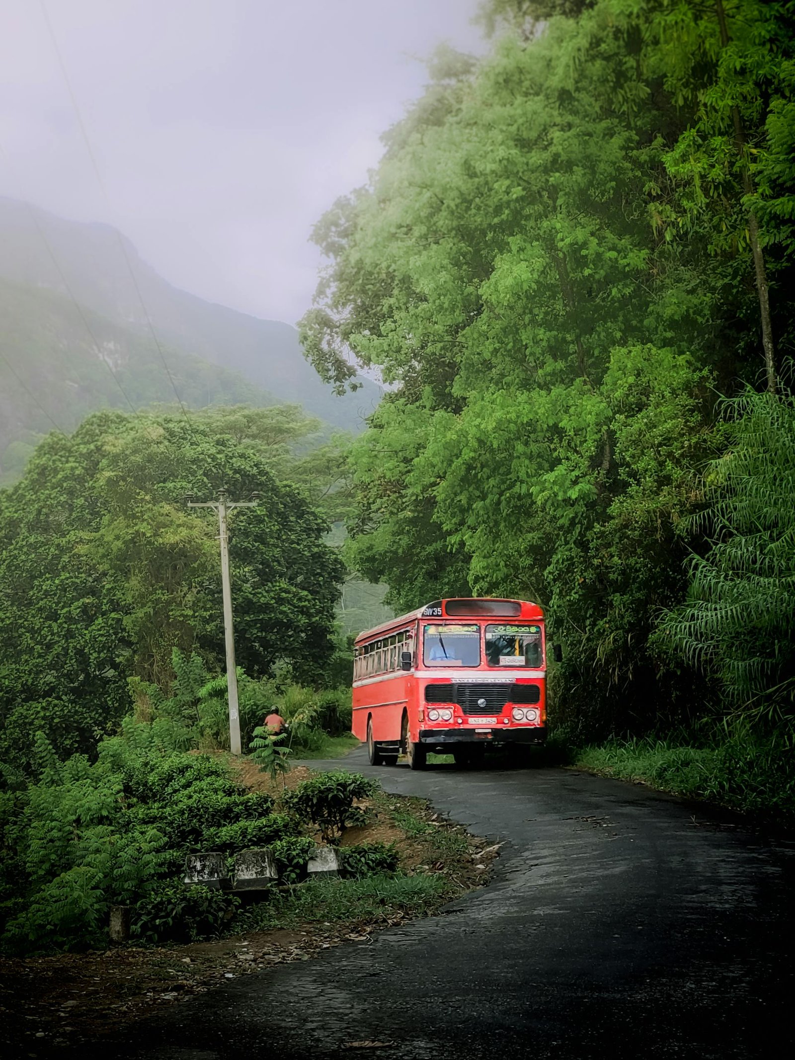 A red public bus navigates a lush green road in Sri Lanka's countryside, surrounded by dense foliage and mist-covered hills.